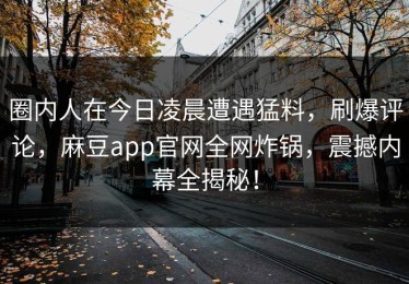 圈内人在今日凌晨遭遇猛料，刷爆评论，麻豆app官网全网炸锅，震撼内幕全揭秘！