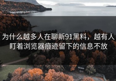 为什么越多人在聊新91黑料，越有人盯着浏览器痕迹留下的信息不放
