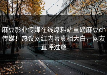 麻豆影业传媒在线爆料站重磅麻豆ch传媒！热议网红内幕真相大白，网友直呼过瘾