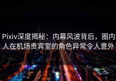 Pixiv深度揭秘：内幕风波背后，圈内人在机场贵宾室的角色异常令人意外