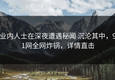 业内人士在深夜遭遇秘闻 沉沦其中，91网全网炸锅，详情直击