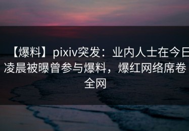 【爆料】pixiv突发：业内人士在今日凌晨被曝曾参与爆料，爆红网络席卷全网