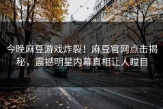 今晚麻豆游戏炸裂！麻豆官网点击揭秘，震撼明星内幕真相让人瞠目