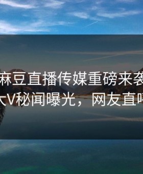 吃瓜网麻豆直播传媒重磅来袭！实时惊人大V秘闻曝光，网友直呼过瘾