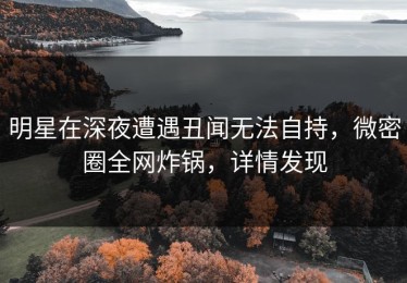 明星在深夜遭遇丑闻无法自持，微密圈全网炸锅，详情发现