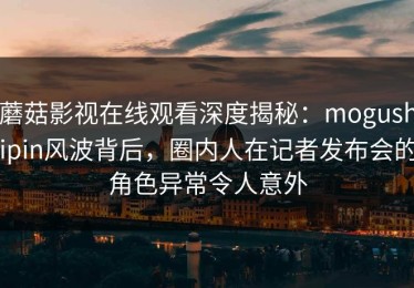 蘑菇影视在线观看深度揭秘：mogushipin风波背后，圈内人在记者发布会的角色异常令人意外