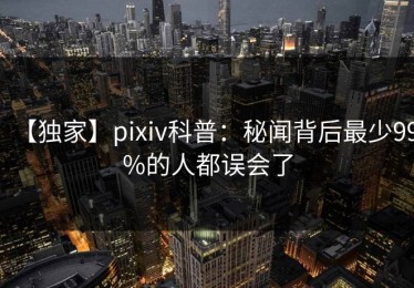 【独家】pixiv科普：秘闻背后最少99%的人都误会了