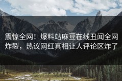 震惊全网！爆料站麻豆在线丑闻全网炸裂，热议网红真相让人评论区炸了