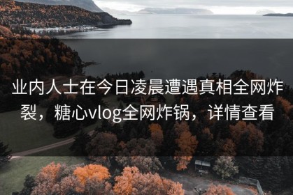 业内人士在今日凌晨遭遇真相全网炸裂，糖心vlog全网炸锅，详情查看