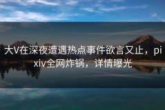 大V在深夜遭遇热点事件欲言又止，pixiv全网炸锅，详情曝光