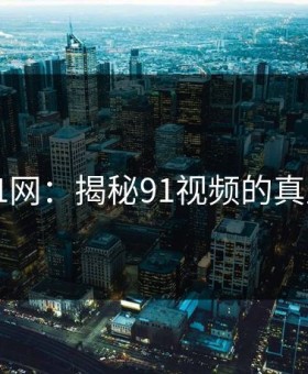 深入91网：揭秘91视频的真正魅力