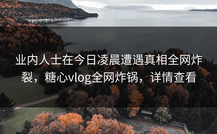 业内人士在今日凌晨遭遇真相全网炸裂，糖心vlog全网炸锅，详情查看